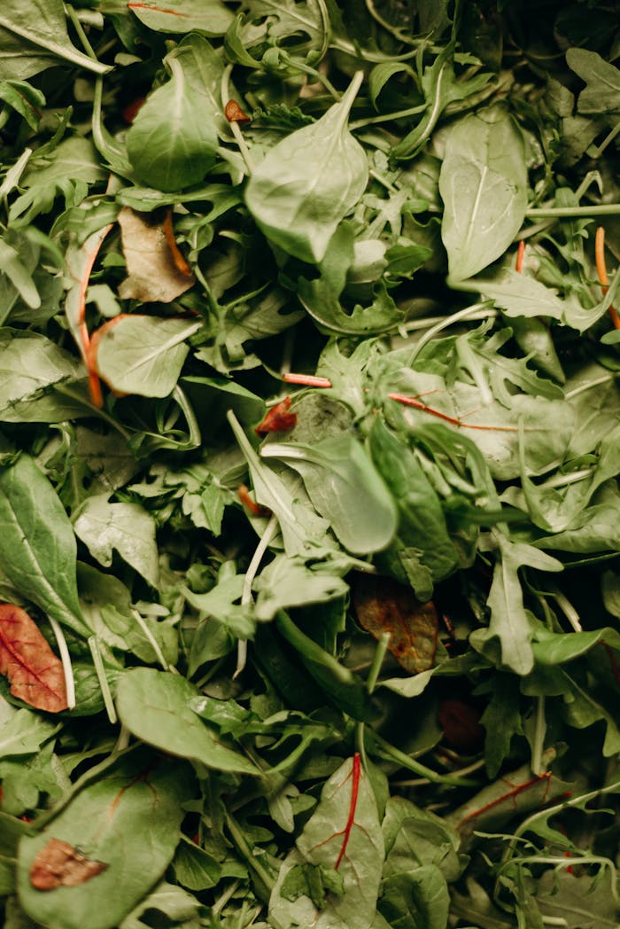 brand-02 A vibrant close-up of fresh mixed greens showcasing their texture and freshness.