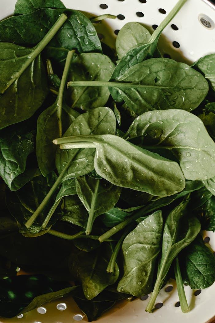 brand-03 Freshly washed spinach leaves with water droplets in a white colander.